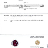 11.16 Ct. Ruby Natural Diamond Pave Ring, Platinum 950 Scan Report