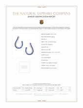 0.89 Ct.Tw.Total Carat Weight Sapphire Natural Diamond Pave Earrings, 14K White Gold Scan Report