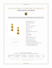 1.06&nbsp;Ct.Tw.Total Carat Weight Yellow Sapphire and Natural Diamond Drops Earrings, 14K Yellow Gold Scan Report