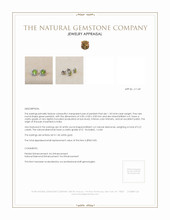 1.18 Ct.Tw.Total Carat Weight Peridot Natural Diamond Studs Earrings, 14K White Gold Appraisal