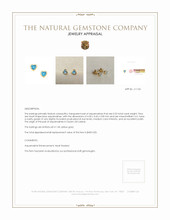 0.53 Ct.Tw. Aquamarine Studs Earrings, 14K Yellow Gold Appraisal