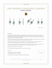 24.85 Ct.Tw. Tourmaline Natural Diamond Halo Earrings, 18K White Gold Appraisal