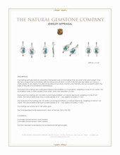 24.85 Ct.Tw.Total Carat Weight Mixed Tourmaline and Natural Diamond Halo Earrings, 18K White Gold Appraisal