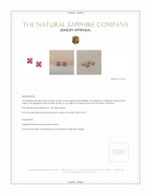 0.32 Ct.Tw.Total Carat Weight Pink Sapphire Studs Earrings, 14K Yellow Gold Appraisal