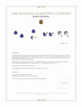 14.89 Ct.Tw.Total Carat Weight Violet Tanzanite and Natural Diamond Studs Earrings, 14K White Gold Appraisal