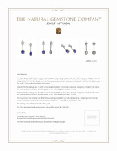 10.10 Ct.Tw. Tanzanite Natural Diamond Pave Earrings, 18K White Gold Appraisal