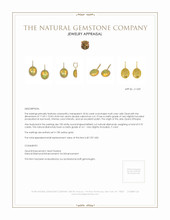 18.56 Ct.Tw. Opal Natural Diamond Pave Earrings, 18K Yellow Gold Appraisal