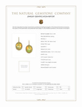 18.56 Ct.Tw. Opal Natural Diamond Pave Earrings, 18K Yellow Gold Scan Report