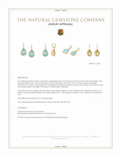 23.54 Ct.Tw.Total Carat Weight Multi Color Opal and Natural Diamond Pave Earrings, 14K Yellow Gold Appraisal