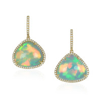 Opal 14K Yellow Gold earring