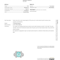 3.90 Ct. Paraiba Tourmaline Natural Diamond Antique Style Ring, 18K White Gold Scan Report