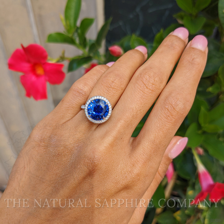 6.01 Ct. Blue Sapphire and Natural Diamond Pave Ring, Platinum 950