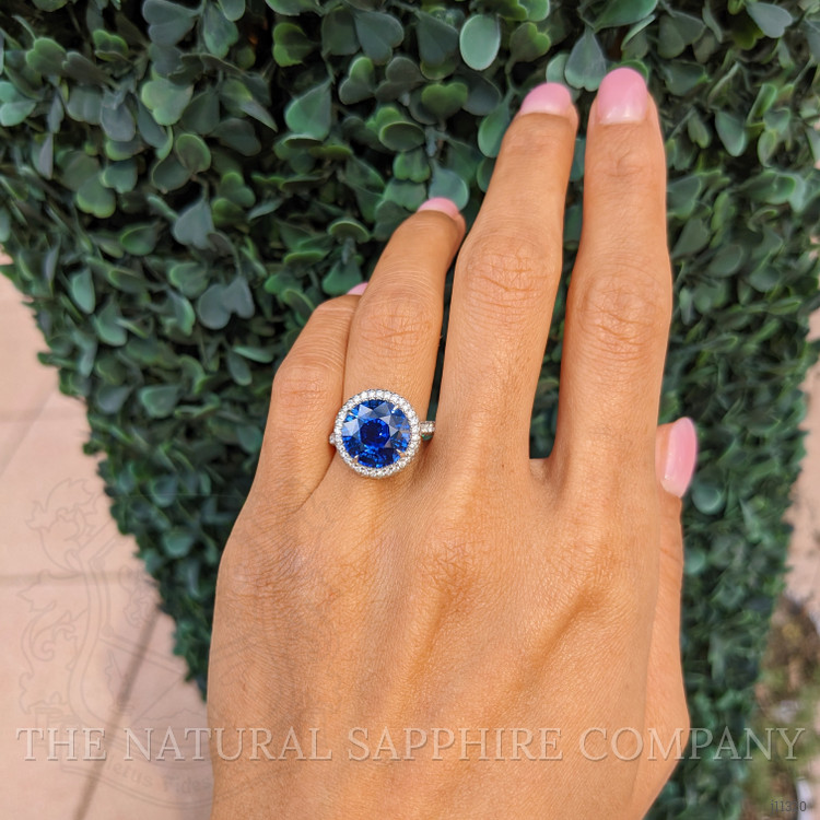 6.01 Ct. Blue Sapphire and Natural Diamond Pave Ring, Platinum 950