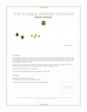 0.33 Ct.Tw.Total Carat Weight Blue Sapphire and Natural Diamond Studs Earrings, 14K Yellow Gold Appraisal