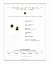 0.33 Ct.Tw.Total Carat Weight Blue Sapphire and Natural Diamond Studs Earrings, 14K Yellow Gold Scan Report