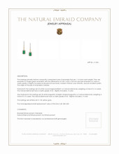 1.14 Ct.Tw. Emerald Natural Diamond Halo Earrings, 14K Yellow Gold Appraisal