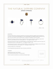 3.05 Ct. Blue Sapphire and Natural Diamond Pave Ring, 14K White Gold Appraisal