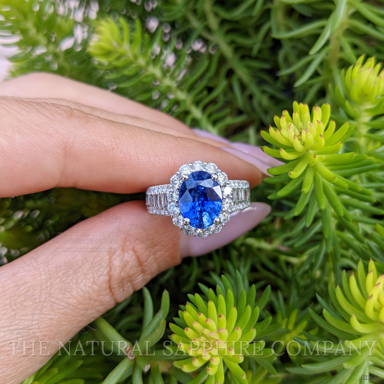 3.03 Ct. Blue Sapphire and Natural Diamond Pave Ring, 18K White Gold