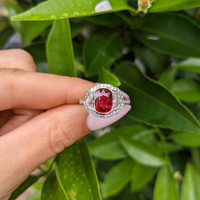2.17 Ct. Ruby and Natural Diamond Pave Ring, Platinum 950 Life Style