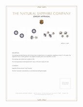 3.85 Ct.Tw. Natural Diamond and Blue Sapphire Studs Earrings, Platinum 950 Appraisal