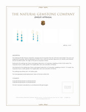 2.30 Ct.Tw.Total Carat Weight Blue Turquoise and Turquoise Turquoise Bezel Earrings, 14K Yellow Gold Appraisal