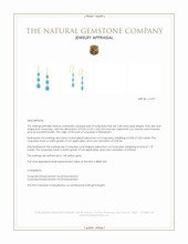 2.30 Ct.Tw.Total Carat Weight Blue Turquoise and Turquoise Turquoise Bezel Earrings, 14K Yellow Gold Appraisal