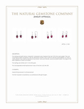 3.20 Ct.Tw. Garnet Bezel Earrings, 14K White Gold Appraisal