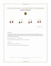 3.20 Ct.Tw.Total Carat Weight Purplish Red Garnet Bezel Earrings, 14K Yellow Gold Appraisal