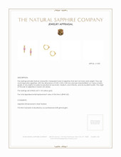 0.44&nbsp;Ct.Tw.Total Carat Weight Pink Sapphire Accent Stones Earrings, 14K Yellow Gold Appraisal