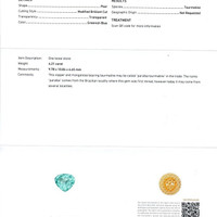 4.21 Ct. Paraiba Tourmaline Natural Diamond Pave Ring, Platinum 950 Scan Report