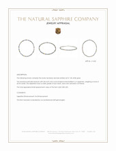 65.93 Ct. Multi Color Sapphire Tennis/Riviere Necklace, 14K White Gold Appraisal