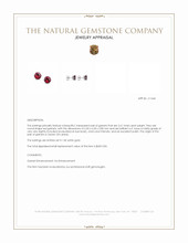 2.61 Ct.Tw.Total Carat Weight Red Garnet Studs Earrings, 14K White Gold Appraisal