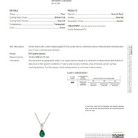 3.04 Ct. Emerald and Natural Diamond Accent Stones Necklace, Platinum & 18K Yellow Scan Report