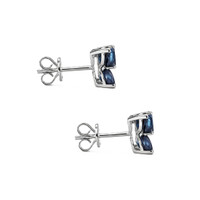 1.65&nbsp;Ct.Tw.Total Carat Weight Blue Sapphire Studs Earrings, 14K White Gold Image