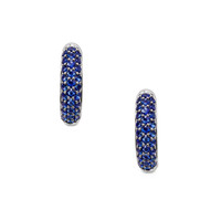 2.81 Ct.Tw. Sapphire 14K White Gold earring