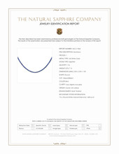 7.16 Ct. Blue Sapphire and Natural Diamond Pave Necklace, 14K White Gold Scan Report