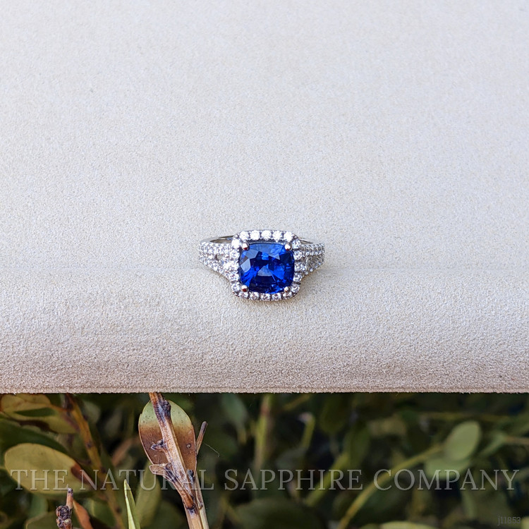 3.76 Ct. Blue Sapphire and Natural Diamond Pave Ring, 18K White Gold
