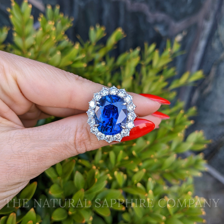 16.45 Ct. Blue Sapphire and Natural Diamond Pave Ring, 18K White Gold