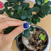 12.04 Ct. Blue Sapphire and Natural Diamond Three Stone Ring, Platinum 950 Life Style