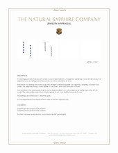 0.80&nbsp;Ct.Tw.Total Carat Weight Blue Sapphire and Natural Diamond Drops Earrings, 18K White Gold Appraisal