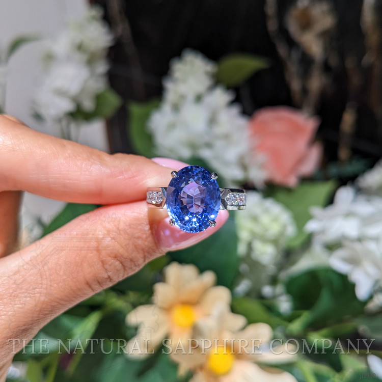 9.19 Ct. Blue Sapphire and Natural Diamond Pave Ring, Platinum 950