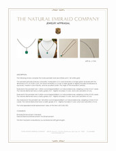 3.76 Ct. Emerald and Natural Diamond Pave Pendant, 14K White Gold Appraisal
