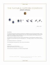 4.09 Ct.Tw.Total Carat Weight Blue Sapphire and Yellow Natural Diamond Studs Earrings, 14K White Gold Appraisal