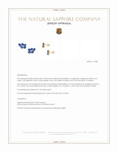 4.01 Ct.Tw.Total Carat Weight Blue Sapphire and Natural Diamond Studs Earrings, 14K Yellow Gold Appraisal