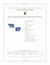 4.01 Ct.Tw.Total Carat Weight Blue Sapphire and Natural Diamond Studs Earrings, 14K Yellow Gold Scan Report