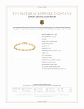 3.61&nbsp;Ct.Tw.Total Carat Weight Multi Color Sapphire and Natural Diamond Tennis/Line Bracelet, 18K Yellow Gold Scan Report