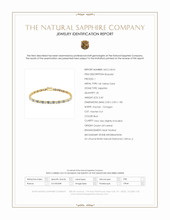 3.42 Ct.Tw.Total Carat Weight Blue Sapphire and Natural Diamond Tennis/Line Bracelet, 14K Yellow Gold Scan Report