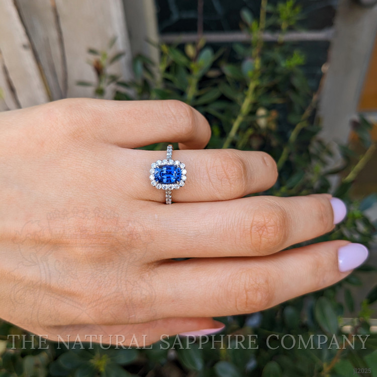 1.74 Ct. Blue Sapphire and Natural Diamond Pave Ring, 18K White Gold