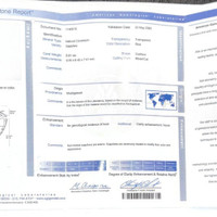 6.01 Ct. Blue Sapphire and Natural Diamond Three Stone Ring, 18K White Gold Scan Report