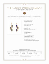 1.60 Ct.Tw.Total Carat Weight Blue Sapphire and Natural Diamond Halo Earrings, 14K Yellow Gold Scan Report